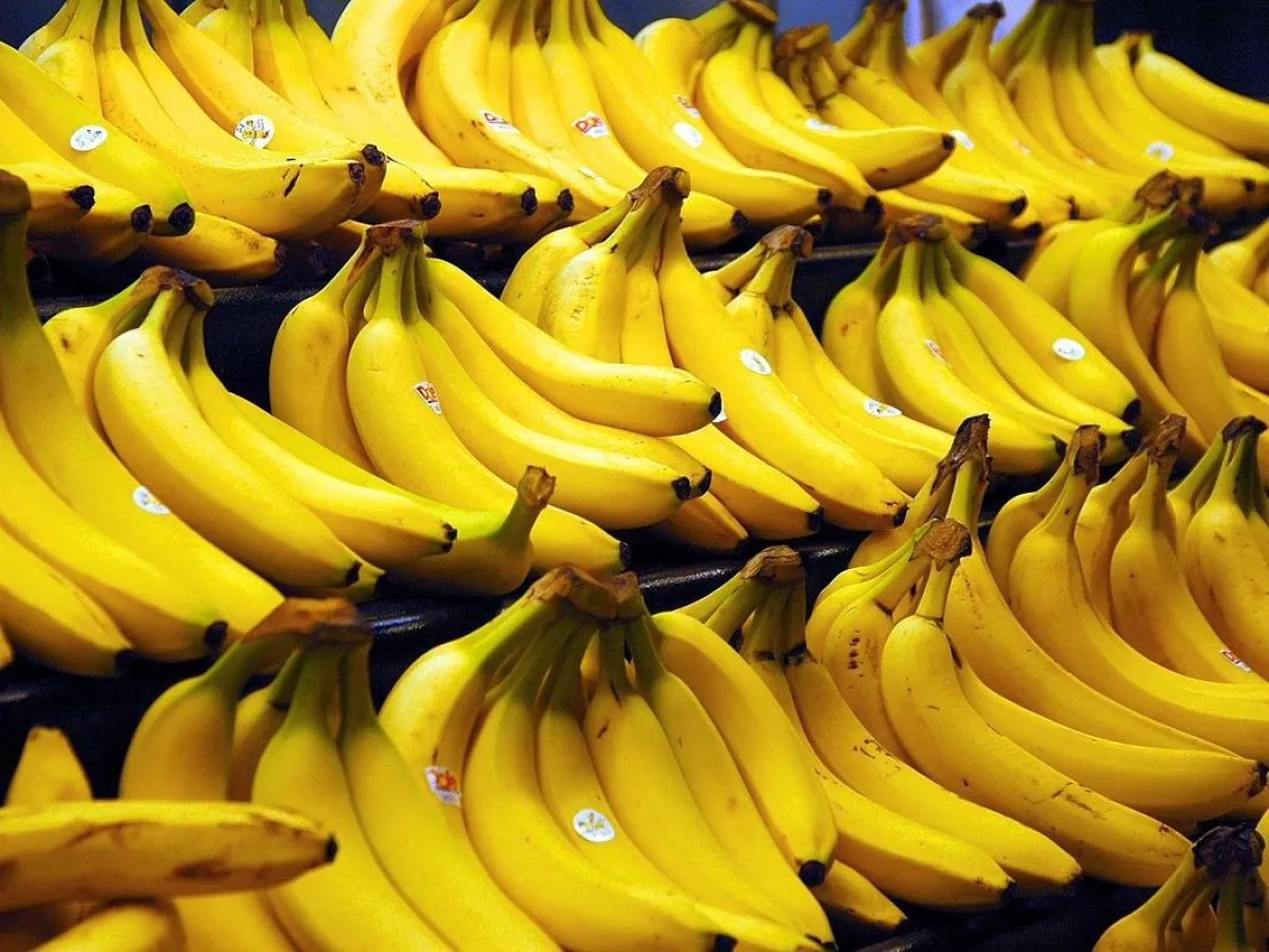 Por falta de pago, Paraguay y Bolivia suspenden envíos de bananas a la Argentina