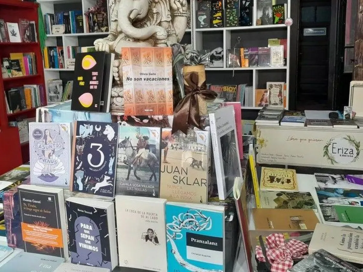 Preocupación en la industria editorial: la venta de libros en la Argentina cayó un 30%