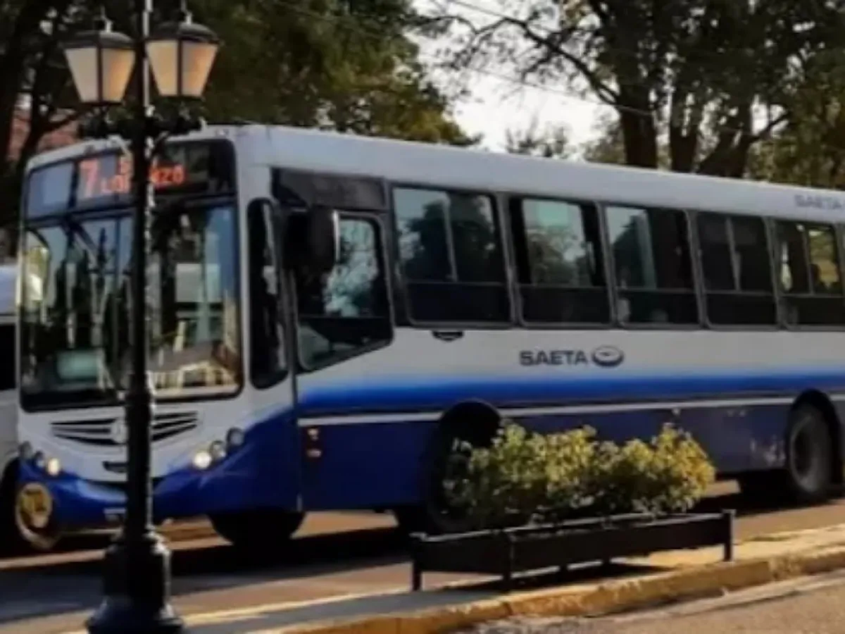 Mañana domingo será gratuito el pasaje en colectivos