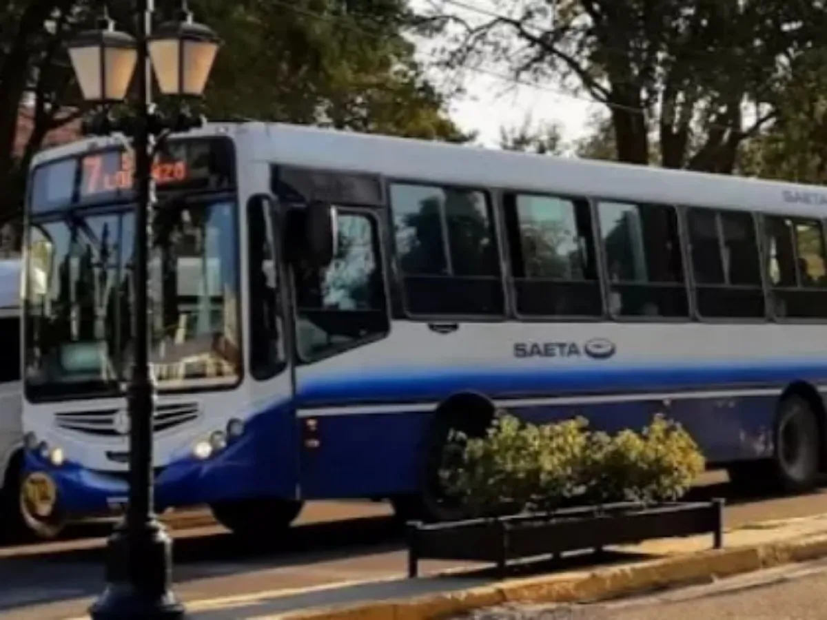 Saeta: hoy es gratuito el pasaje en colectivos por las elecciones