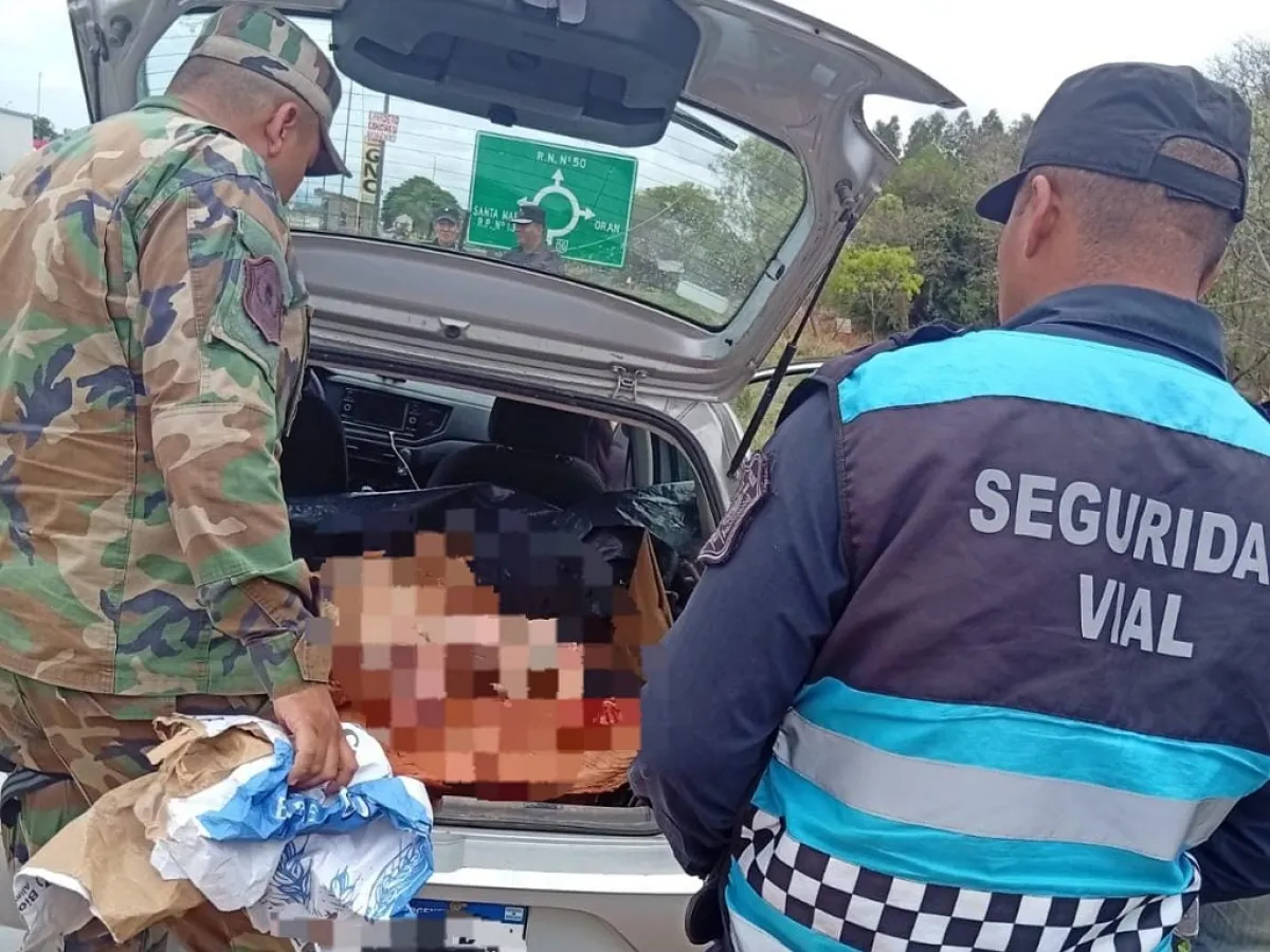 Secuestraron más de 100 kilos de carne no apta para consumo en ruta nacional 50