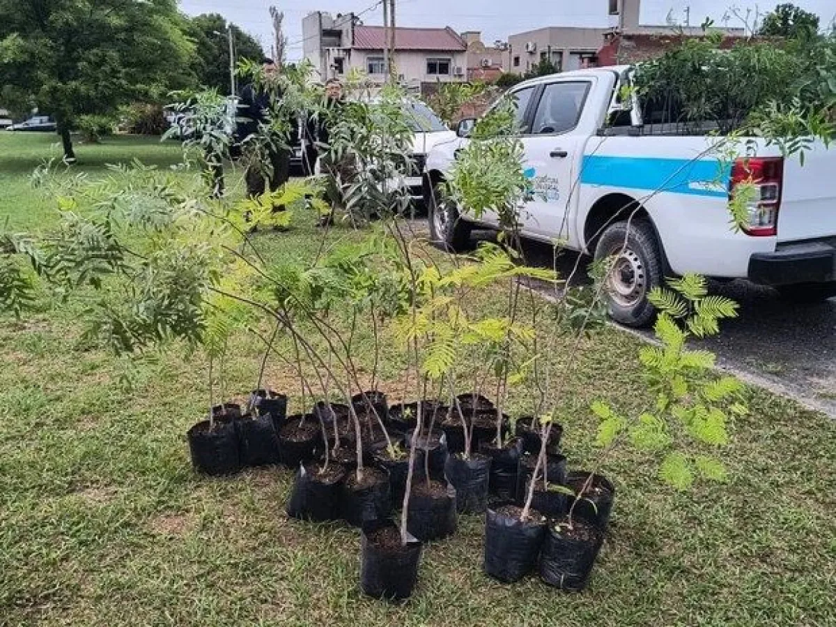 Colocaron más de 200 árboles en el Ecoparque y en el parque Los Sauces