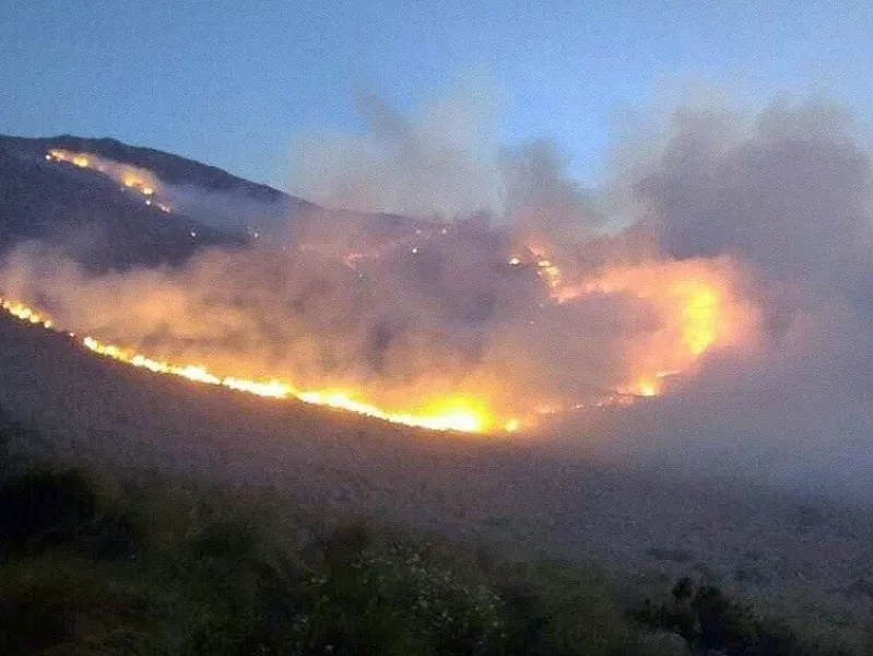 SALTA: Habrían 40 mil hectáreas de Selva bajo el fuego