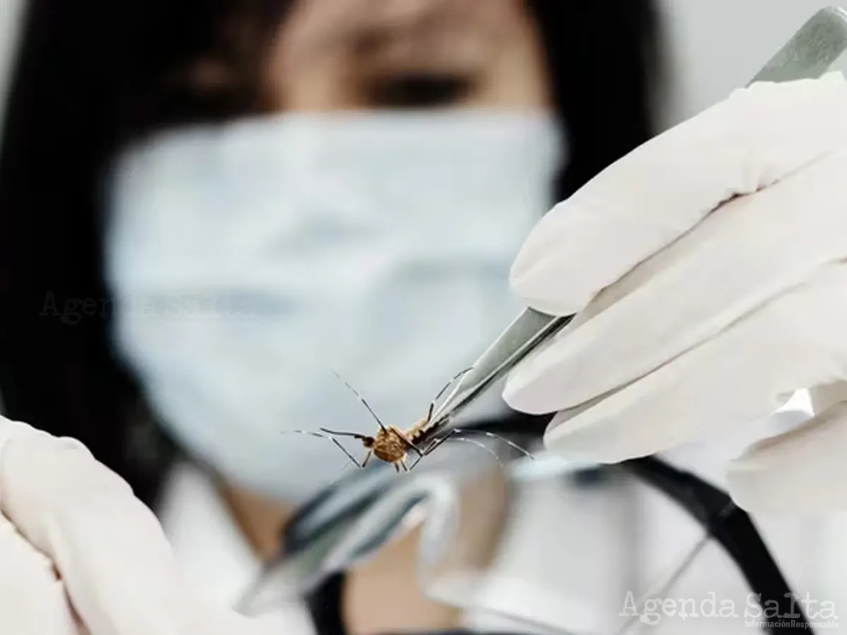 ¿Qué cuidados debo tener después del dengue?
