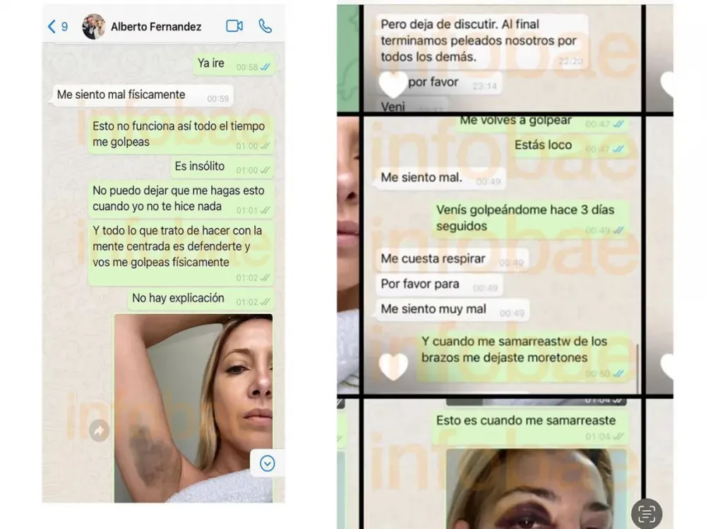 Los chats de Alberto Fernández con Fabiola Yañez