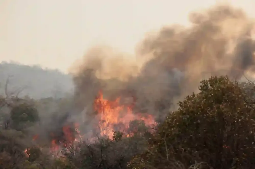Incendios forestales incontrolables