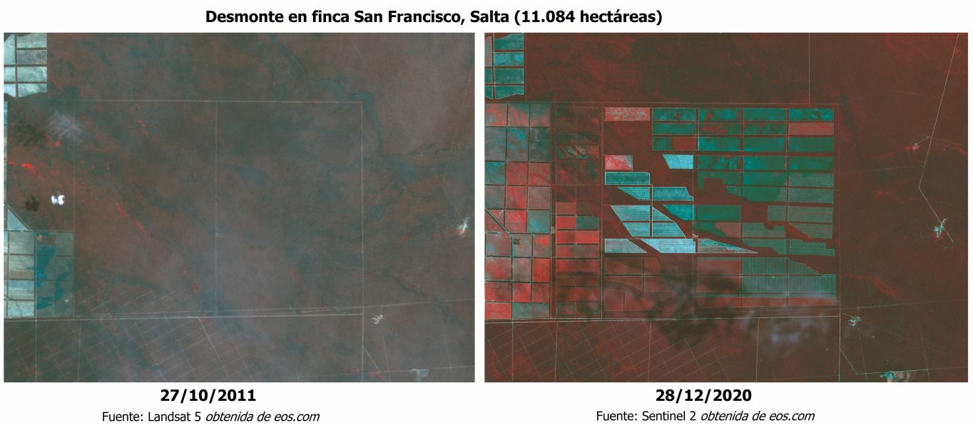 Desmonte en Finca San Francisco