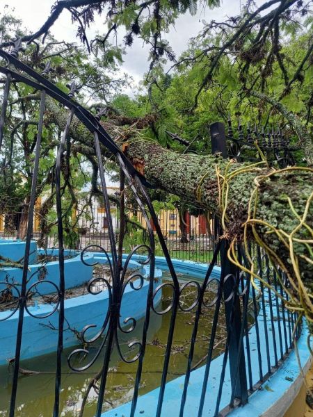 El viento fuerte dejó un desastre a su paso