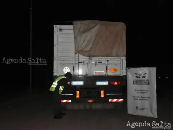 Los rodados poseían 1.638 bultos con un peso total de 65.520 kilos de la mercadería.
