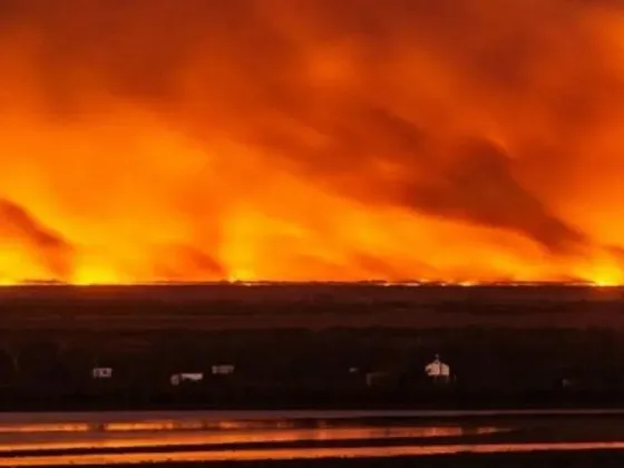 Ley de Humedales: estiman que los incendios podrían costarle al país entre USD 1.100 y 3.700 millones por año