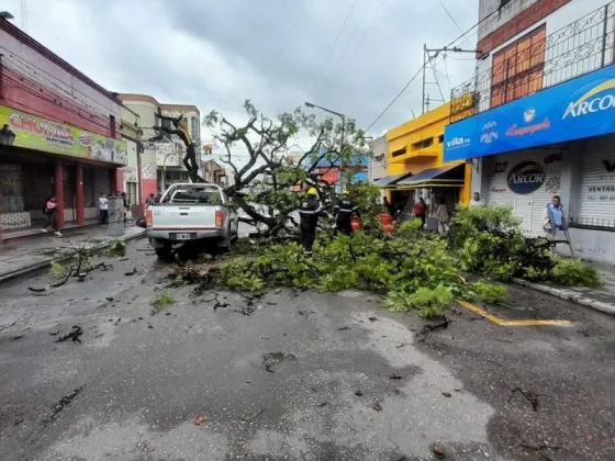El municipio intervino en distintos incidentes a consecuencia del temporal en la ciudad