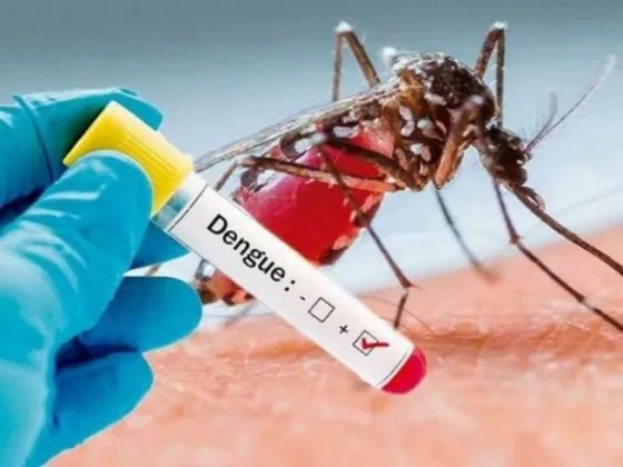 El Covid está en baja, pero preocupan los casos de Dengue en la provincia