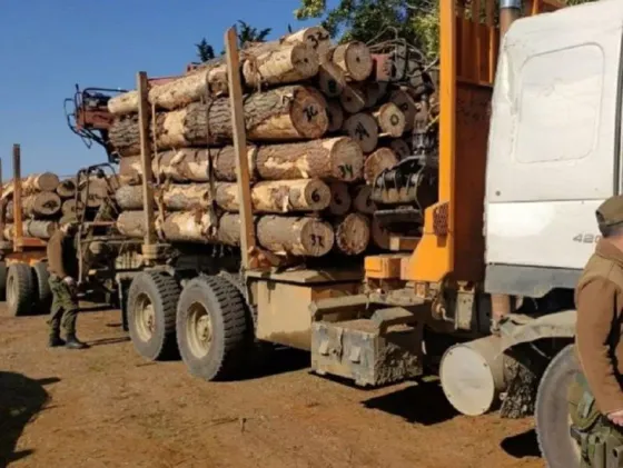 Condenan a Salteño por el robo de madera