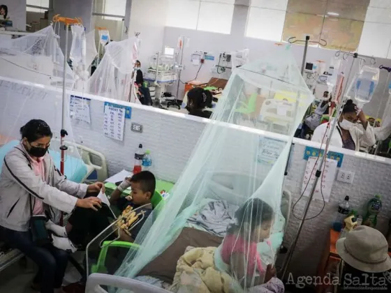¡ALERTA ROJA! en Bermejo por más de 120 casos de dengue