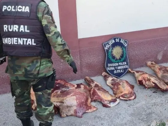 Secuestran más de 60 kg de carne en mal estado