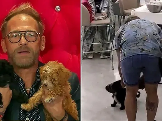 Repudiaron a Rodolfo por pegarle con la chancleta a Mora, la perrita de Gran Hermano