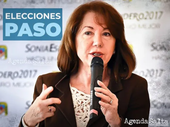 "En Salta los partidos políticos prácticamente han desaparecido, se convirtieron en sellos electorales que se venden al mejor postor"