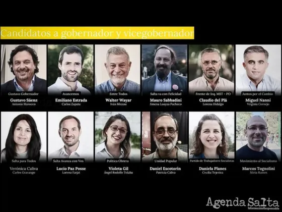 Doce candidatos buscarán la gobernación en Salta