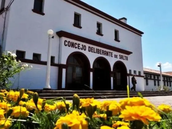 En la capital salteña, habrá 29 listas de candidatos a concejales