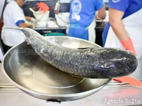 Cómo saber si el pescado está fresco: los 5 chequeos clave al comprar en Semana Santa