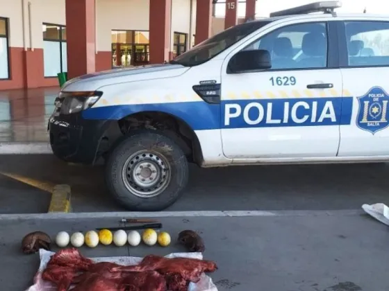 Cazadores fueron detenidos por matar a animales silvestres