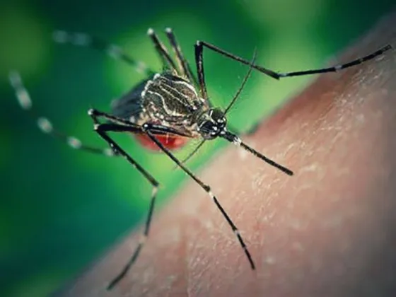 TUCUMÁN: Confirmaron la muerte por Dengue de una nena de 6 años