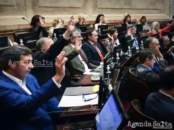 BLANQUEO K: El Senado aprobó el proyecto para pagarle al FMI con un impuesto a los bienes no declarados