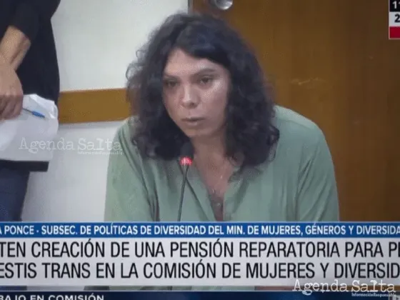 Diputados analizó la creación de una pensión reparatoria para personas travestis-trans