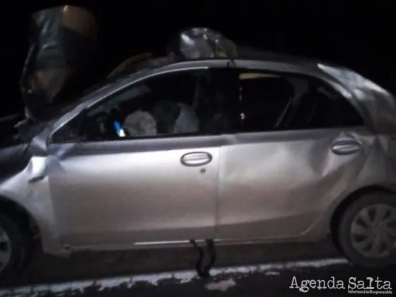 TRAGEDIA: Salteño chocó un caballo con su auto y murió