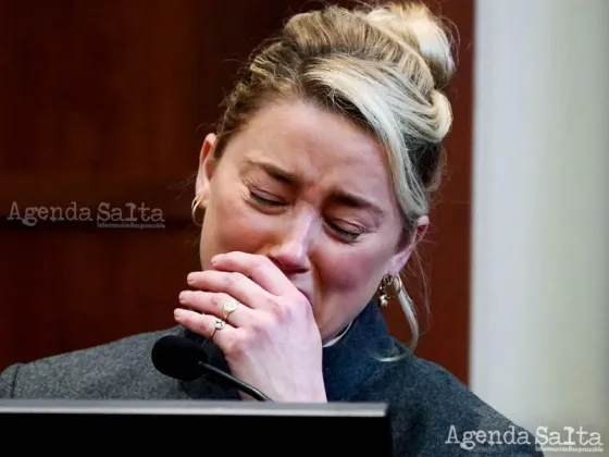 El recurso que usó Camille Vasquez en el polémico juicio volvió a poner sobre la mesa los antecedentes de violencia que tiene Amber Heard