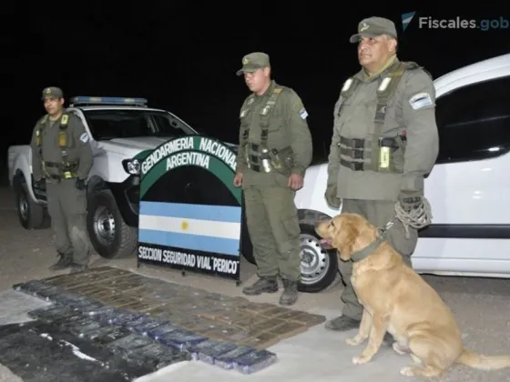 7 años de prisión para jujeño que fue detenido transportando 101 kilos de cocaína