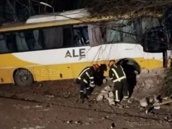 Identificaron a la joven fallecida tras el choque de colectivo Ale Hnos