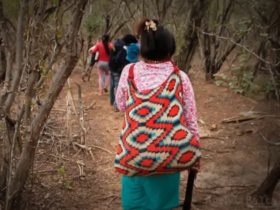 SALTA: Quieren investigar los femicidios en las Comunidades Originarias pero no tienen presupuesto