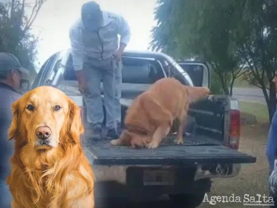 Secuestran casi 100 kg de cocaína sobre ruta 68
