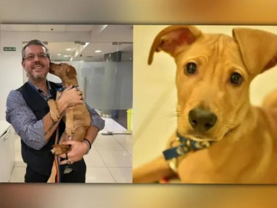 Una mujer tiró a su perro a un contenedor de basura, fue identificada y ordenaron su detención
