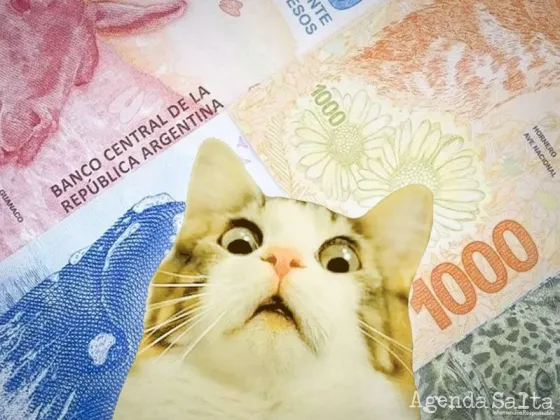 Billete argentino con falla de impresión se vende por $180.000 en Mercado Libre