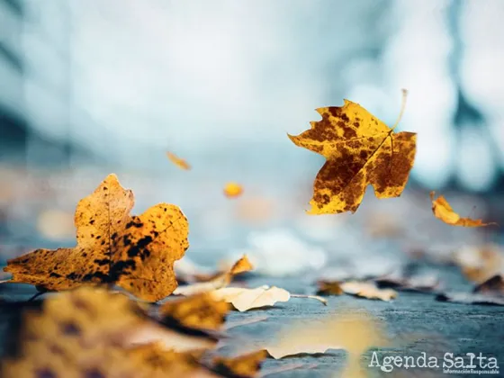 Arranca la semana con temperatura templada y agradable