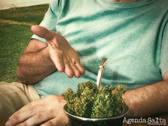 Era yerba, pero no para el mate: Intentó ingresar droga camuflada a una comisaría