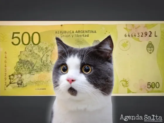 Hoy puede ser tu día de suerte: mirá si tenés este billete, podés ganar hasta $180.000