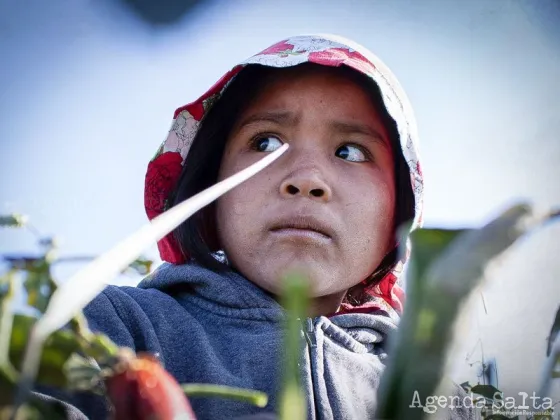 Día Mundial contra el Trabajo Infantil: cifras preocupantes en Argentina