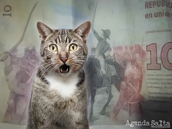 Fijate si tenés suerte: este billete de $10 con un un error de impresión se vende por mucha plata