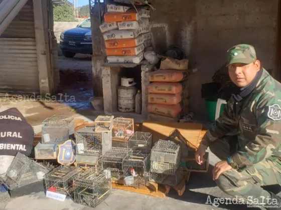 El sujeto infraccionado trasportaba aves en jaulas y trampas furtivas