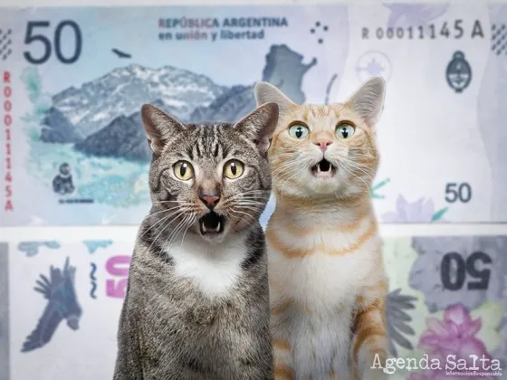 Fácil de detectar: ganá miles de pesos por el error de este billete de $50