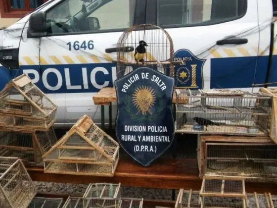 Cinco salteños fueron detenidos por capturar aves silvestres