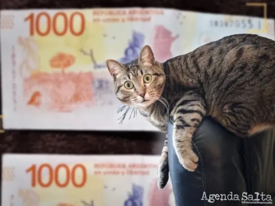 Oportunidad: pagan miles de pesos por billetes de $1000 con este grave error