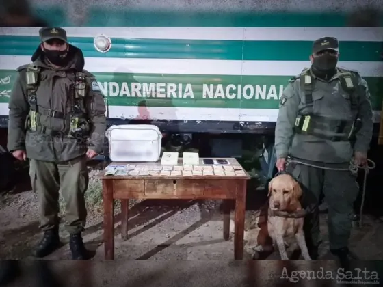“Limón” detectó cocaína en un remis que salió de Salta y detuvieron a dos personas