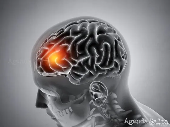 Se duplicaron los casos de meningitis: mata a 1 de cada 10 infectados