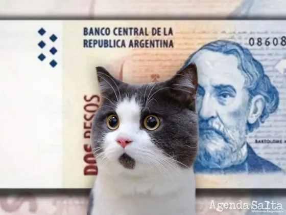 Pagan hasta $350.000 por estos billetes: fijate si los tenés