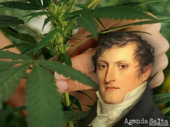 Manuel Belgrano impulsó el cultivo de cannabis y hasta escribió un manual para hacerlo bien