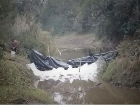 Encontraron restos óseos triturados en bolsas y se quebró un acusado